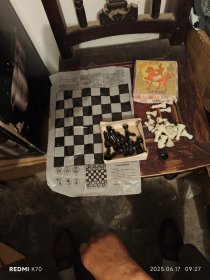 塑料国际象棋棋子