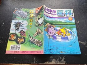 少年科学画报 1997 6（正版现货，内页无字迹划线）