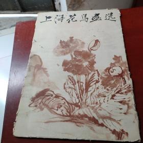 上海花鸟画选