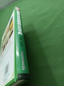 图解五谷杂粮养生宝典