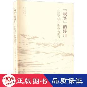 "现实"的浮出 中国文学中的现实描写 中国现当代文学理论 ()小松谦