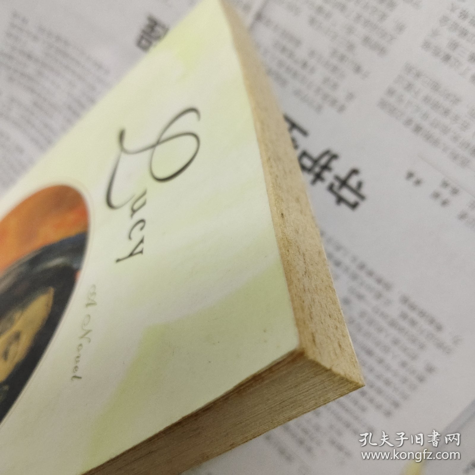 露西 Lucy(Jamaica Kincaid 牙买加·琴凯德)