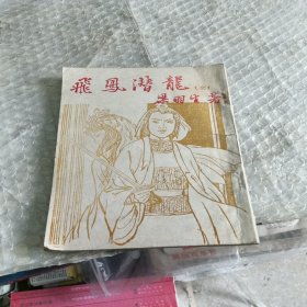飞凤潜龙(全) 伟青书店