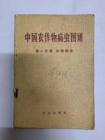 中国农业作物病虫图谱（第一分册）：水稻病虫