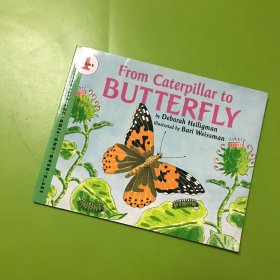 From Caterpillar to Butterfly (Let's Read and Find Out)  自然科学启蒙1：毛毛虫变蝴蝶