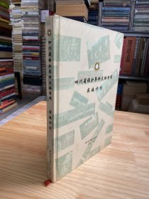 四川省保护革命文物专项实施计划（铜版纸彩印）