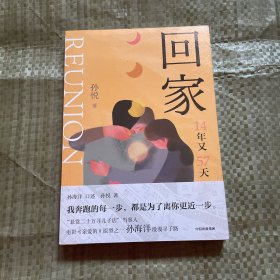 回家（孙悦新书！电影《亲爱的》原型之一孙海洋的漫漫寻子路，传递爱的教育。）