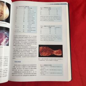 宫腔镜诊断及手术：解剖、生理、病理学图解