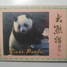 大熊猫明信片，中英日三语，全套十张，八十年代前后。