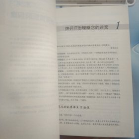 中国企业的IT治理之道