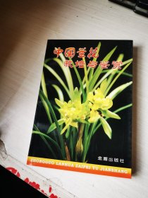 中国兰花栽培与鉴赏