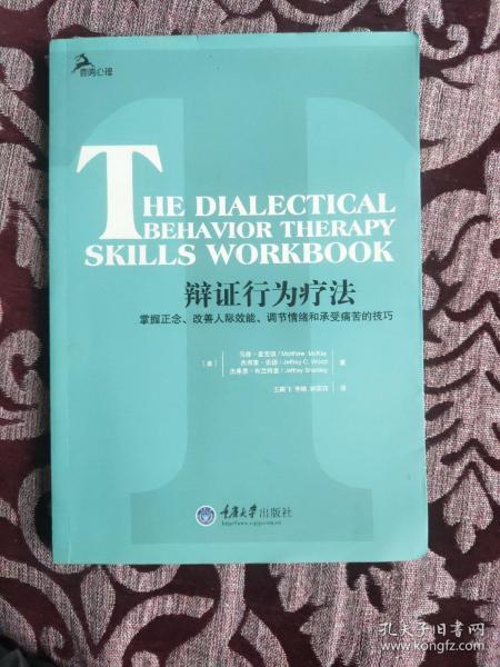辩证行为疗法：掌握正念、改善人际效能、调节情绪和承受痛苦的技巧