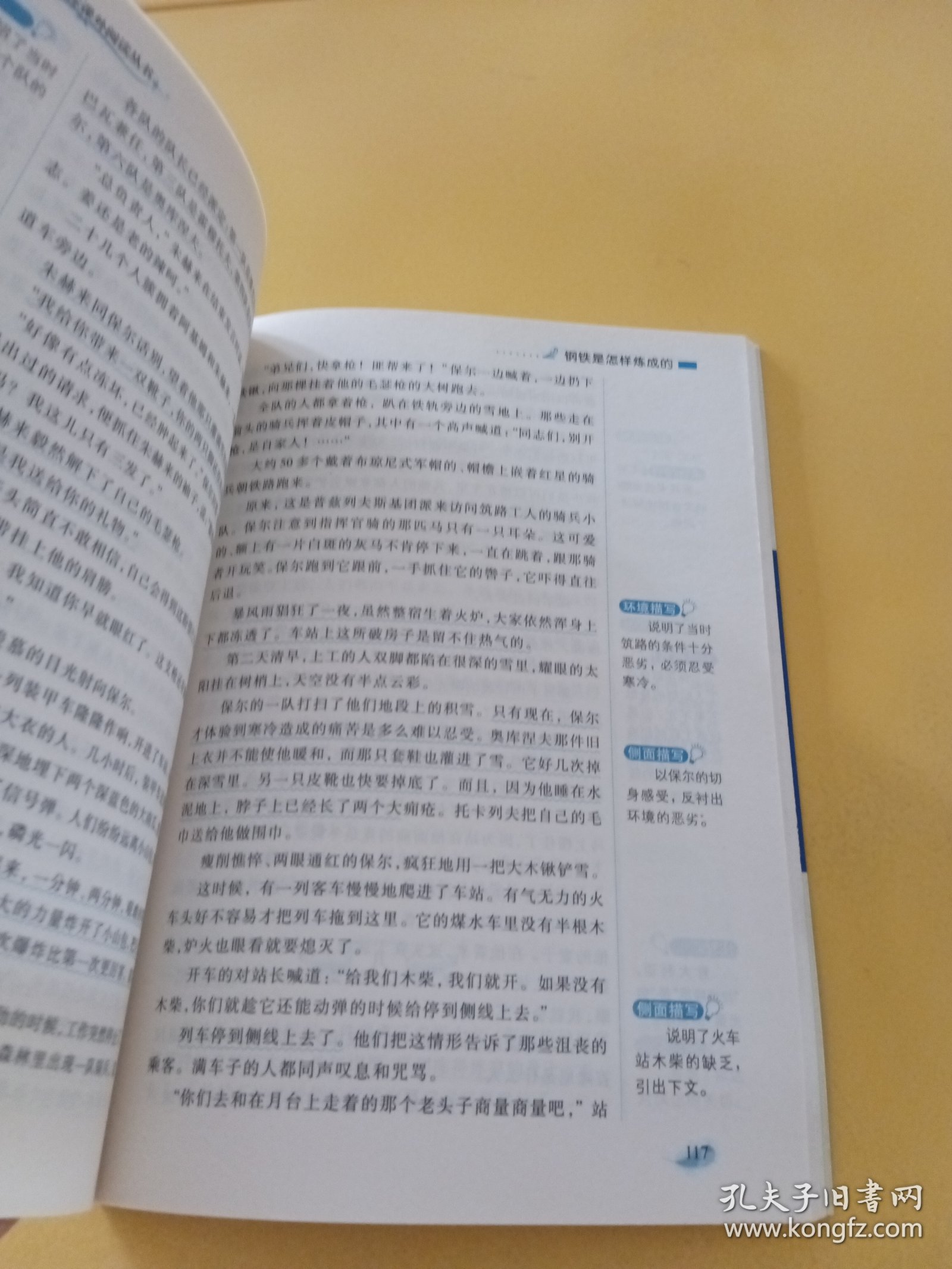 钢铁是怎样炼成的/语文新课标课外阅读丛书