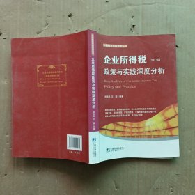 中翰税务风险控制丛书：企业所得税政策与实践深度分析（2013版）