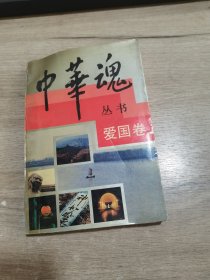 中华魂丛书 爱国卷