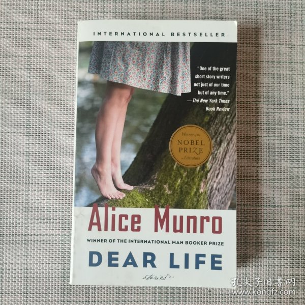 Dear Life：Stories