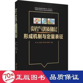 页岩气优质储层形成机制与定量表征(精)