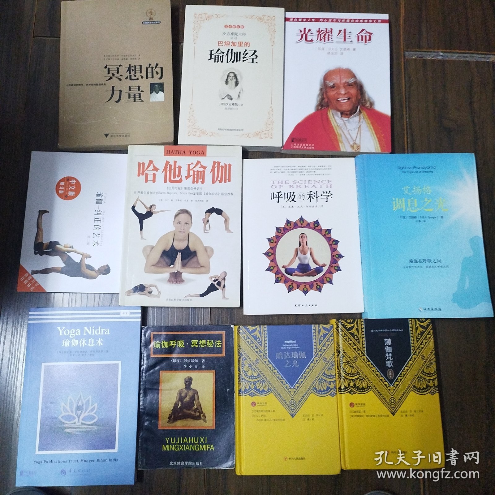 瑜伽纠正的艺术10本合售，瑜伽经，冥想的力量，哈他瑜伽，呼吸的科学，调息之光，瑜伽休息术，瑜伽呼吸冥想秘法，哈达瑜伽之光，薄伽梵歌