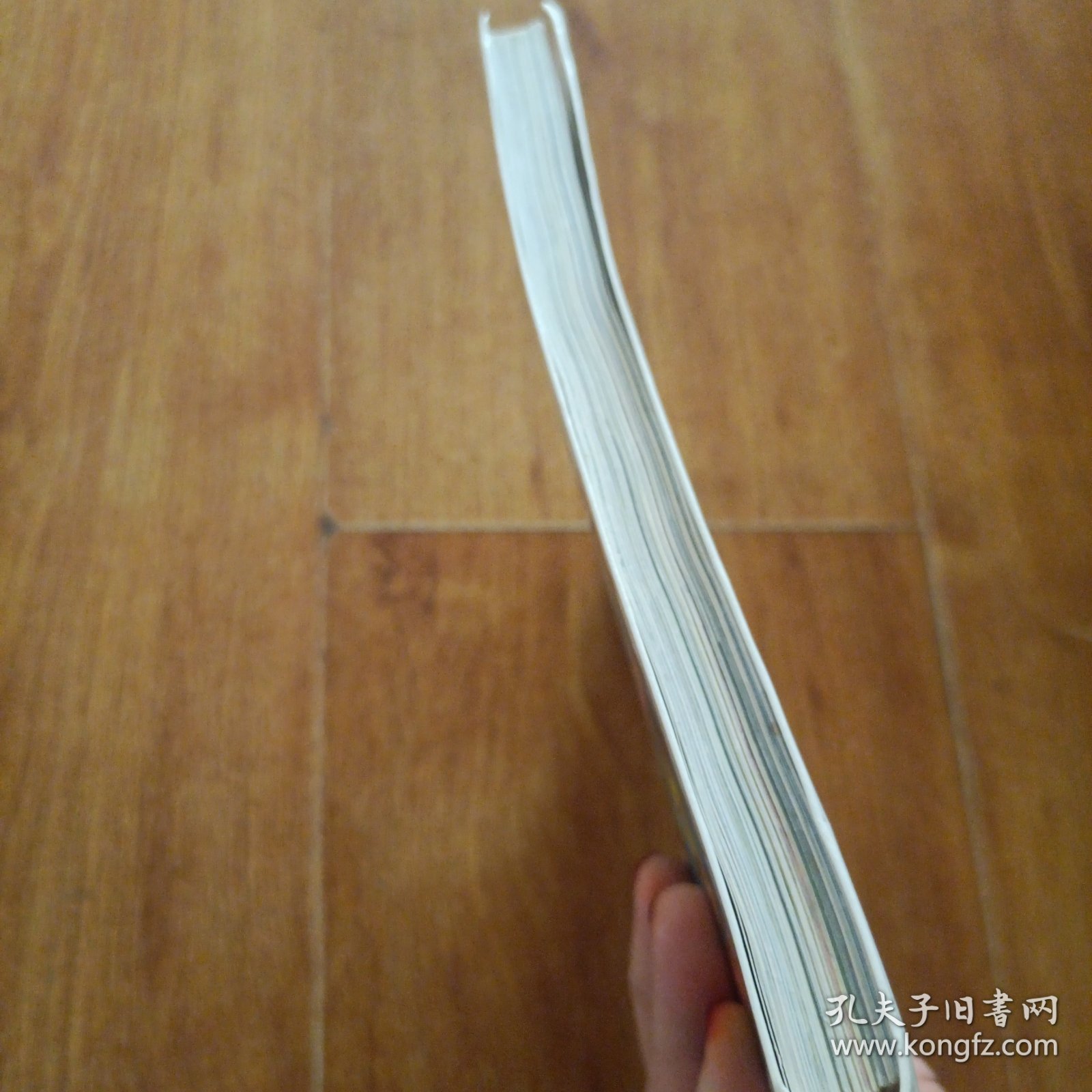 不一样的卡梅拉（珍藏版Ⅲ）