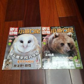 野生动物 小哥白尼2020 （9.10.）