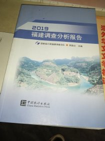 2019福建调查分析报告