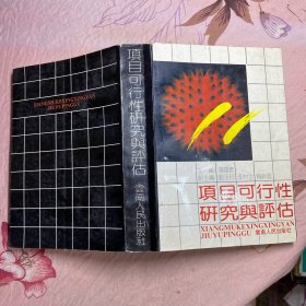 项目可行性研究与评估