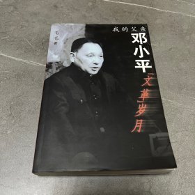 我的父亲邓小平：文革岁月