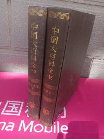 中国大百科全书.外国文学
