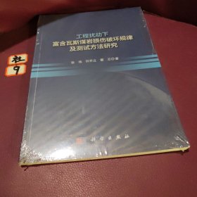 工程扰动下富含瓦斯煤岩损伤破坏规律及测试方法研究