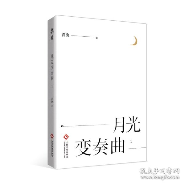 月光变奏曲（1-4套装共4册）