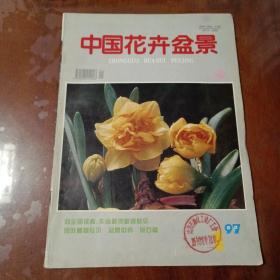 中国花卉盆景1997 1期