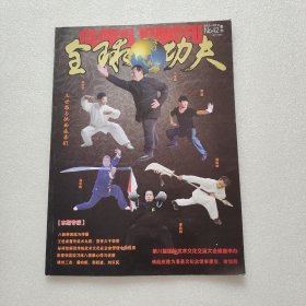 全球功夫2019 3