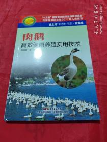 肉鹅高效健康养殖实用技术