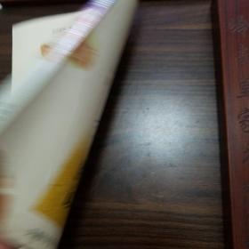 小缺本.新编推拿图说.图文并茂.推拿处方.通俗易懂.412种手法.小儿推拿.关节.手法.部位.神经E1272