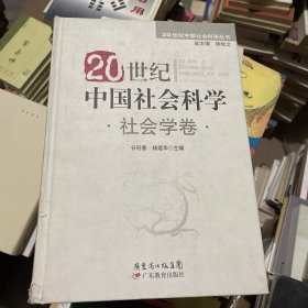 20世纪中国社会科学·社会学卷
