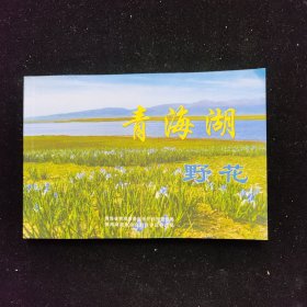 青海湖野花(画册)