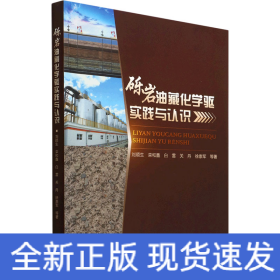 礫巖油藏化學(xué)驅(qū)實(shí)踐與認(rèn)識(shí)