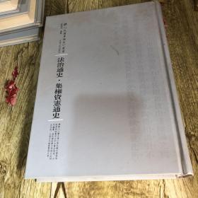 河南人民出版社 民国专题史丛书 法治通史