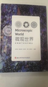 微观世界 : 显微镜下的地学藏品