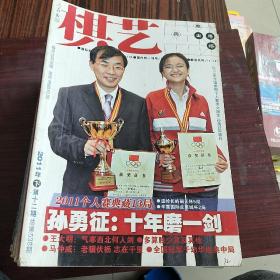 棋艺（2000年2册 2001年4册 2002年7册 2003年8册 2004年4册 2005年8册 2006年9册 2007年9册 2008年7册 2009年4册 2011年4册）66册合售