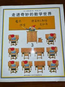 走进奇妙的数学世界3