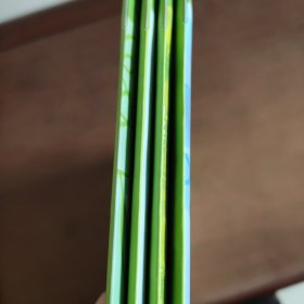 《幼儿园游戏化主题活动资源包》我爱我家，身体的秘密，滚来滚去，小鱼游游游（4册合售）