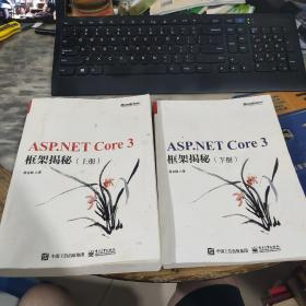 ASP.NET Core 3 框架揭秘（上下册）