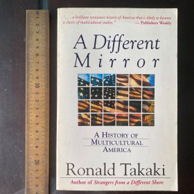 A Different Mirror: A History of Multicultural America另一面镜子 美国多元文化史英文原版