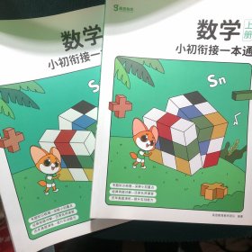 小升初数学衔接培优微专题 ——从算术到代数