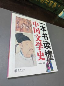 一本书读懂中国文学史