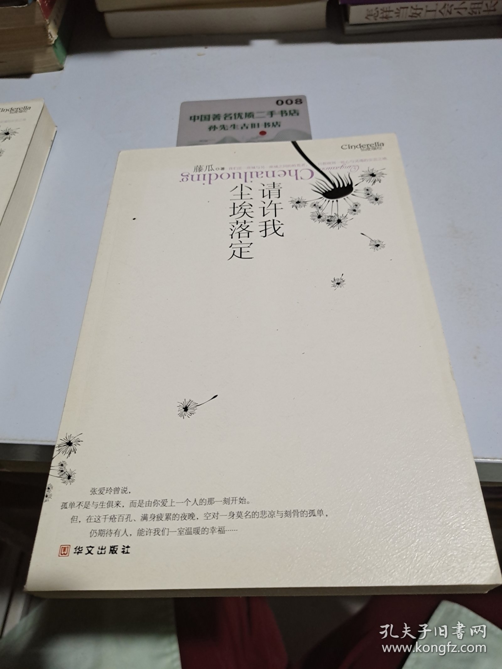 请许我尘埃落定