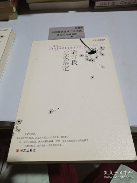 请许我尘埃落定