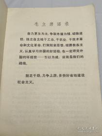 钢铁巨人 程树榛著 上海人民出版社1975年一版一印1版1印 70后80后怀旧收藏