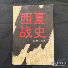 西夏战史